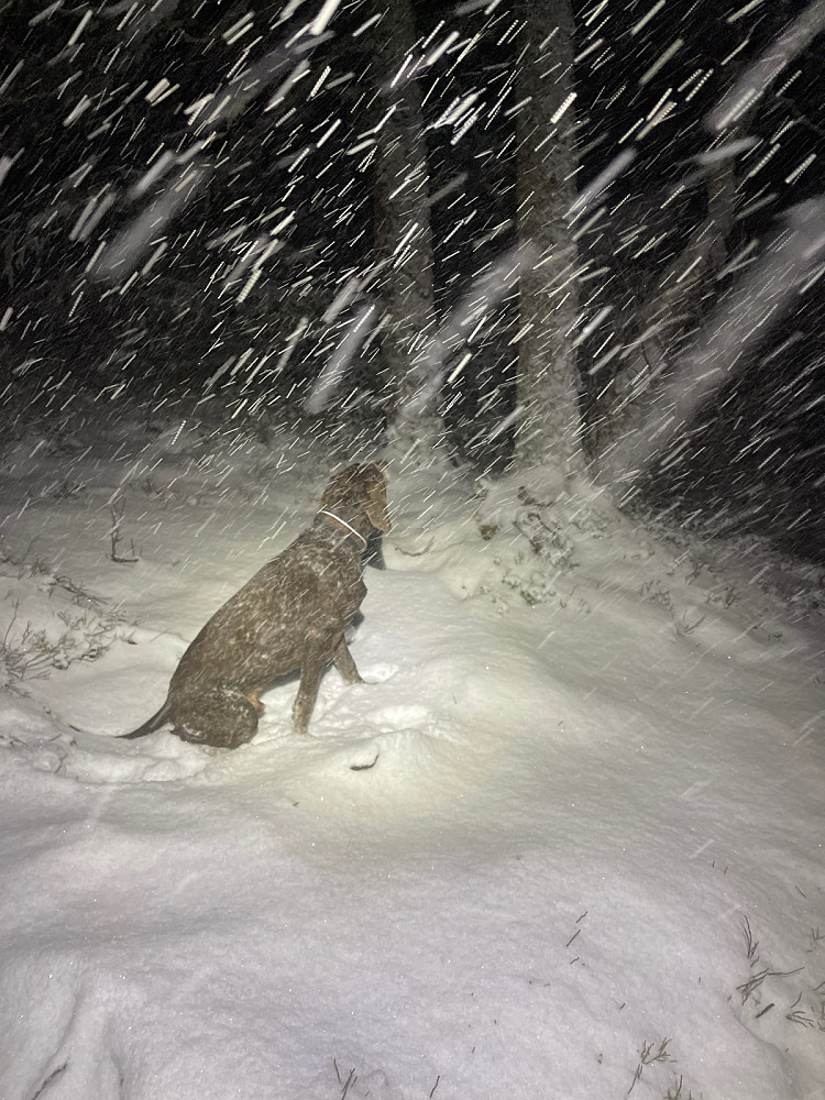 Påfyll av snø! Kan det vare...?
