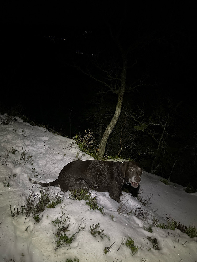 Fortsatt snø igjen til å slukke tørsten..