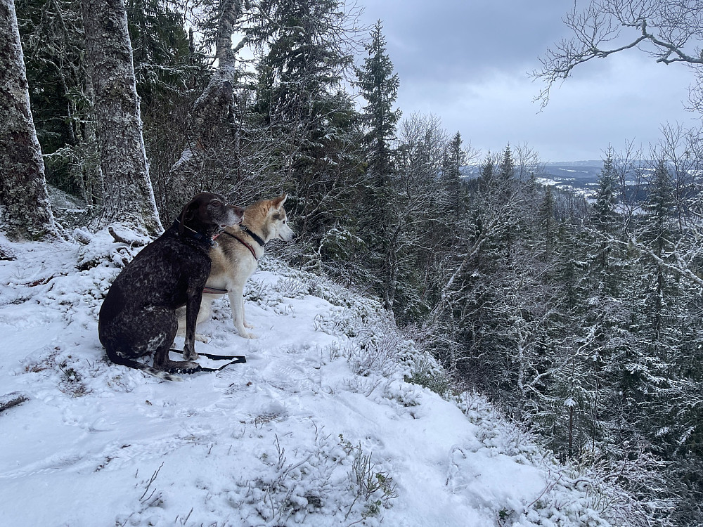 Gutta på topp