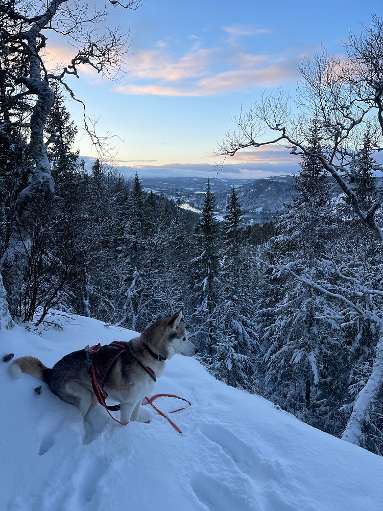 Bare en som møtte opp til fotosession på toppen