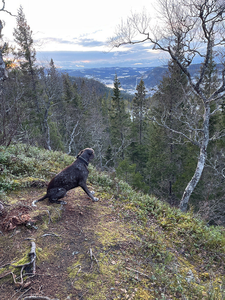Vårlige forhold