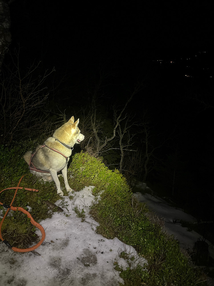 Atlas er kanskje lei av fotosession på toppen...