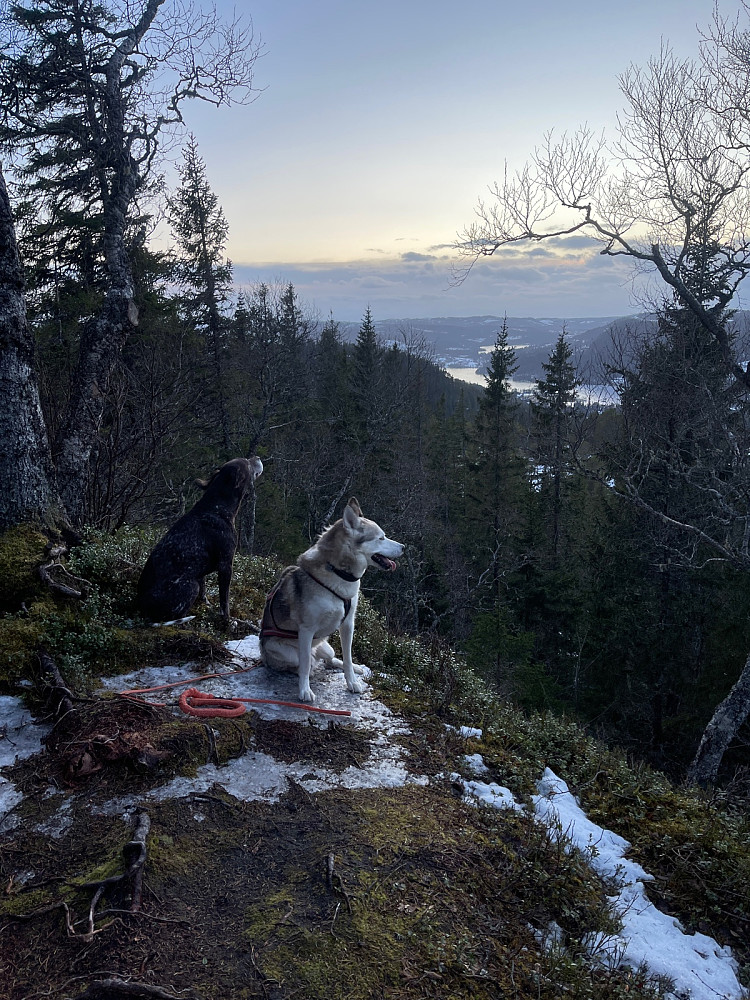 I dag holdt Atlas kontakt med Varg og meg