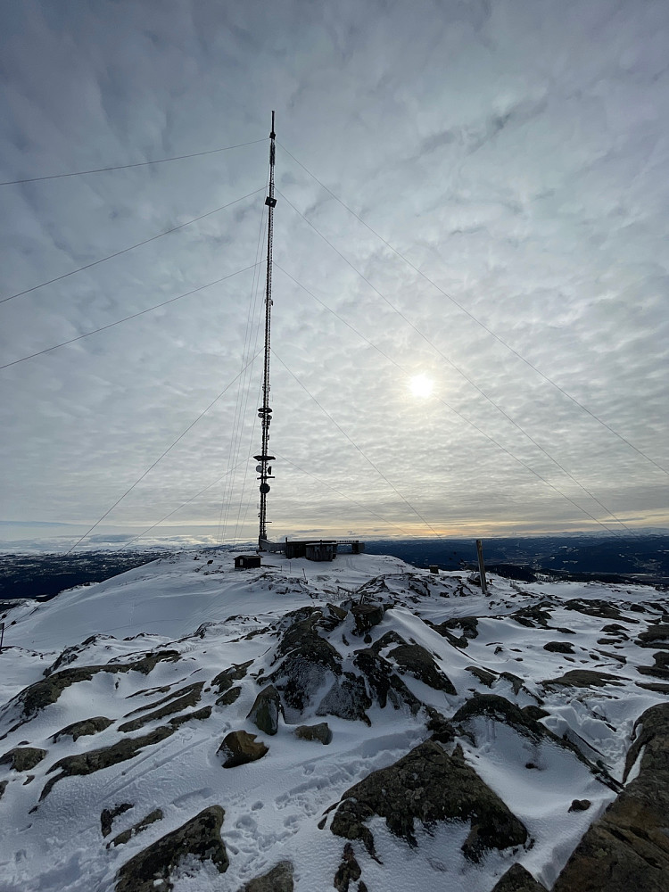 Dagens mast