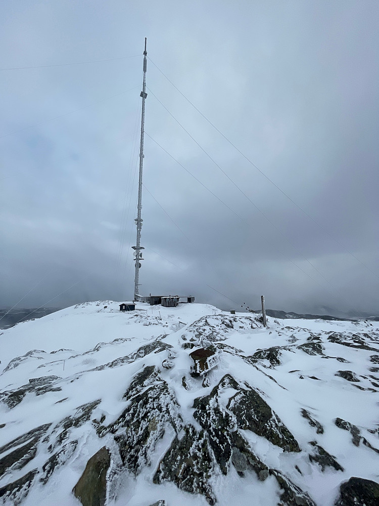 Dagens mast