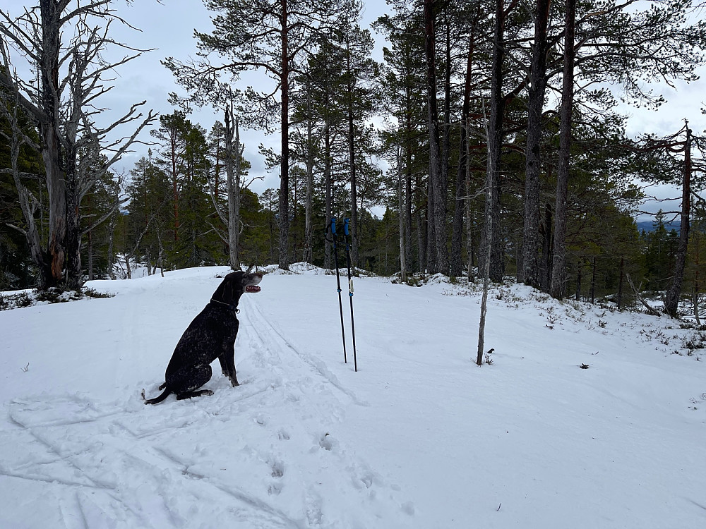Atlas på toppen av haugen