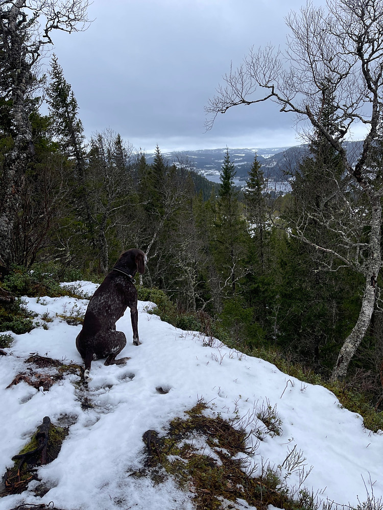 Snøen er sgs borte igjen..
