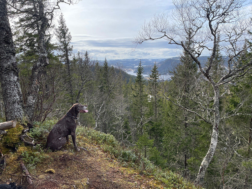 Atlas på topp