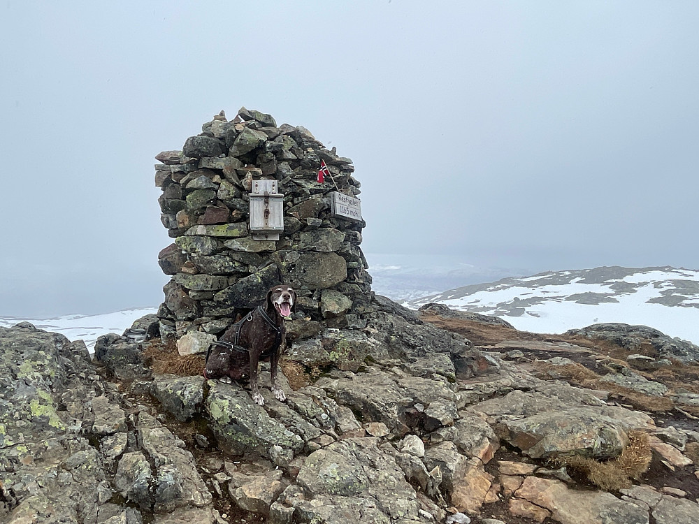 Sol fra start med kraftig snøbyge da vi var på toppen