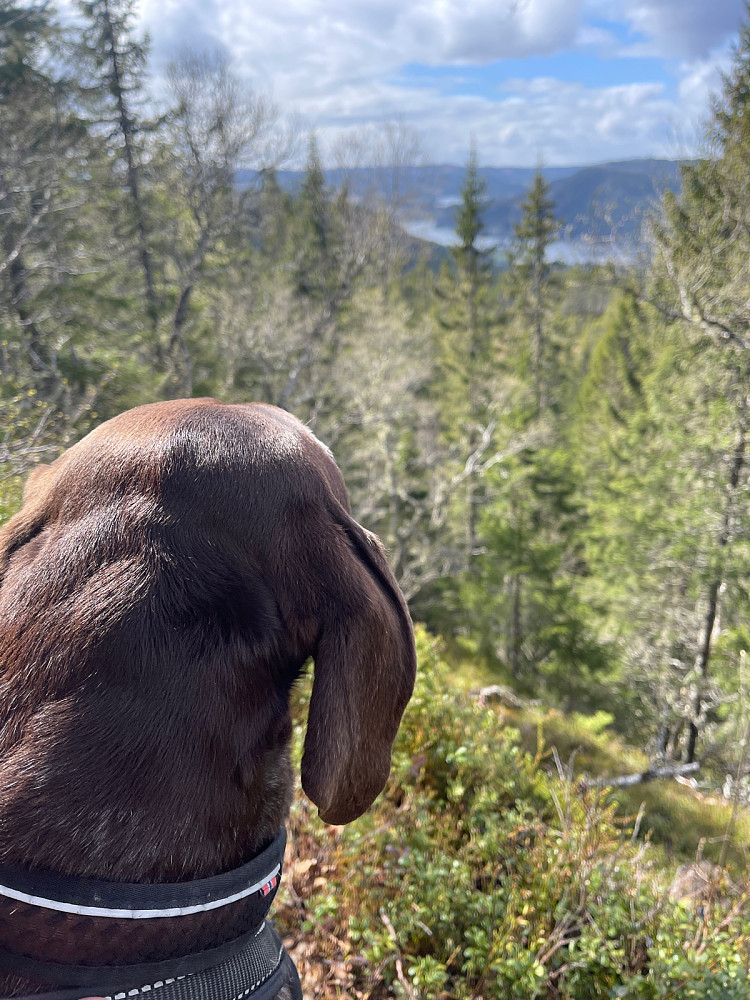 Atlas på toppen