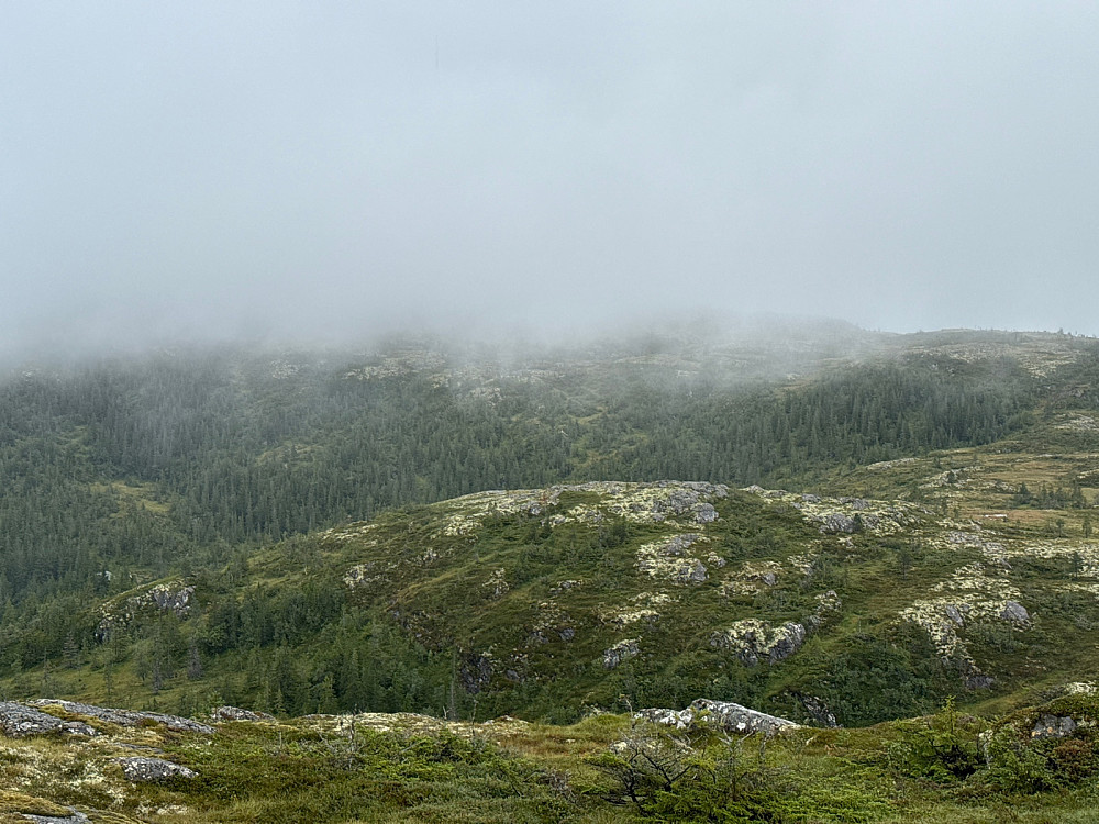 Tåkelagt Vassfjelltopp