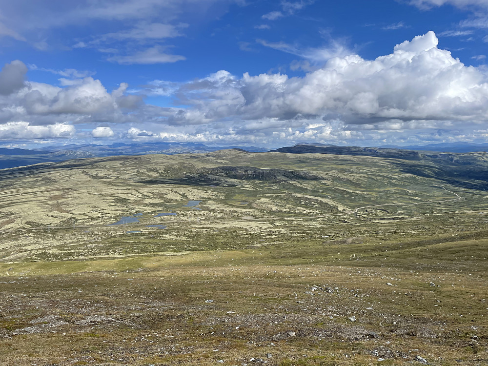 Fra oppstigningen til Grønhøi (1579 m) fra Slådalsvegen i øst.