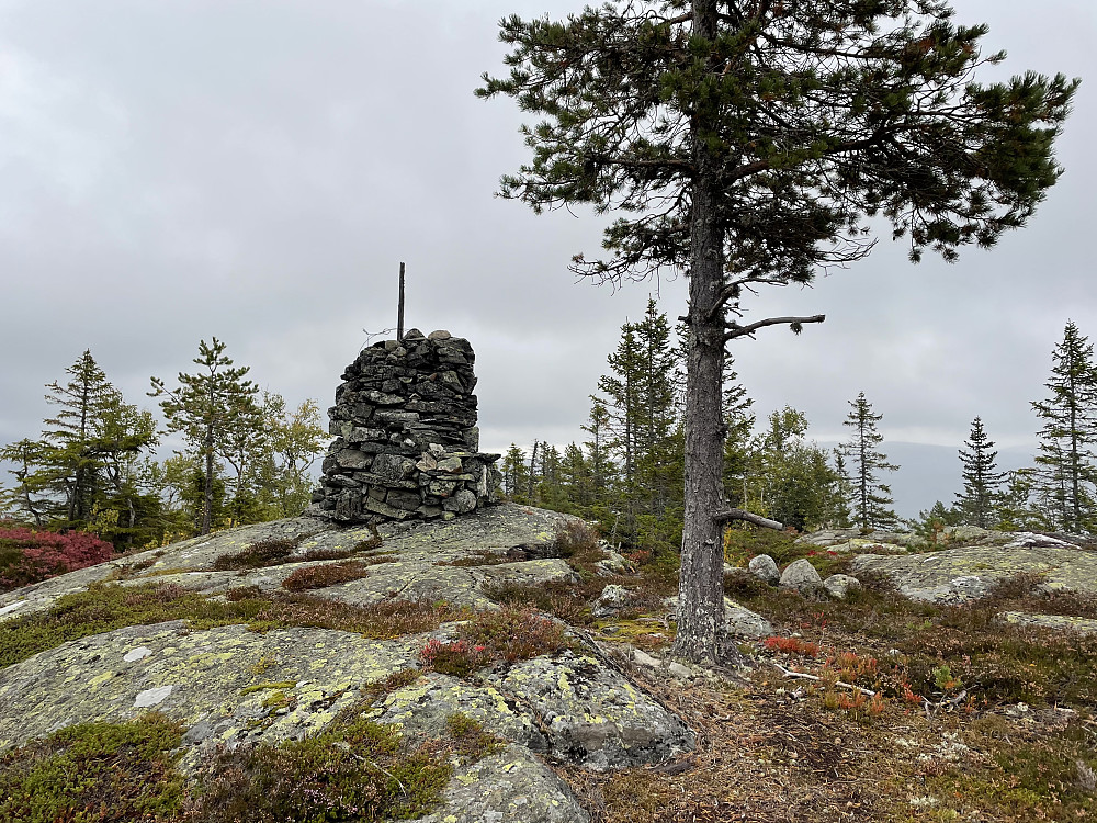 Toppvarden på Lauvskardfjellet (762 m).