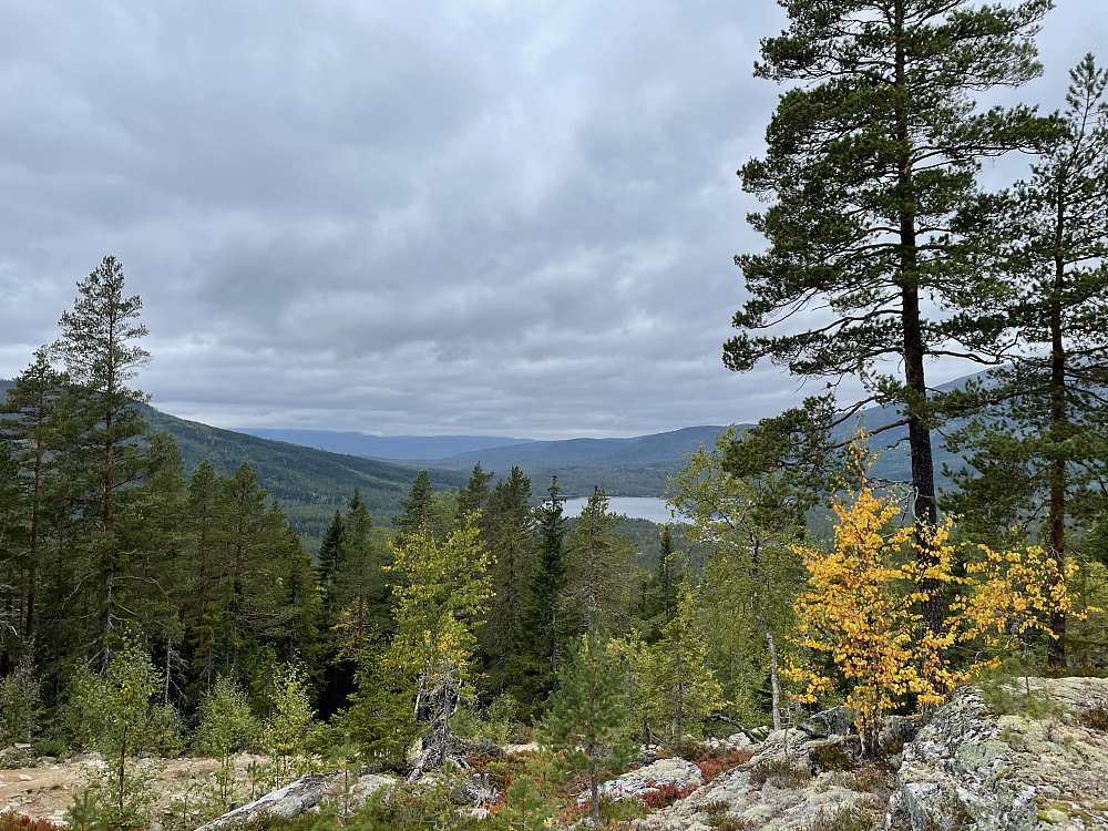 Fra veien opp mot Tungehøgda (664 m).
