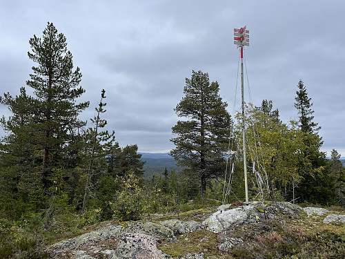 På toppen av Sæteråsen (719 m).