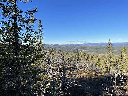 Fra like nord for Øyvasshøgdi (918 m) har man utsikt mot Jotunheimen.
