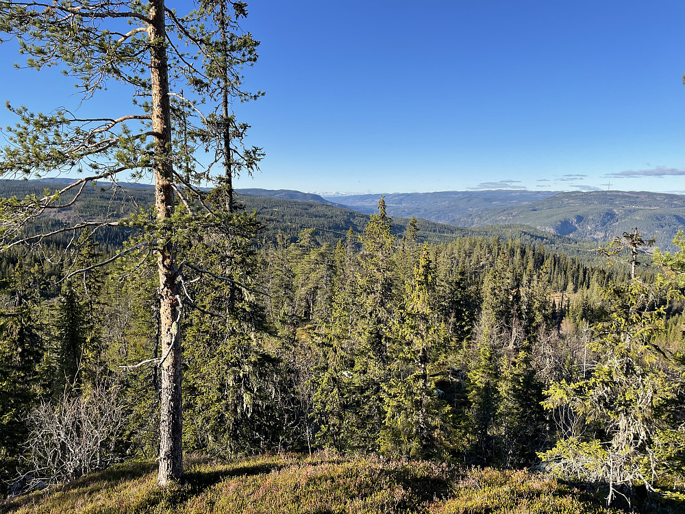 Fra nordvestryggen til Kattuglehøgdi, eller Kroneputthøgda (853 m). Utsikt oppover Valdres med Jotunheimen i bakgrunnen.