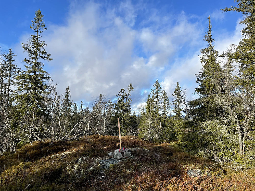 Vesle Skjellingshovde (860 m).
