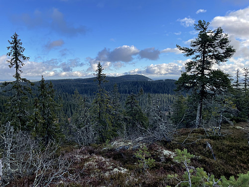Fra nedenfor Vesle Skjellingshovde (860 m) med utsikt mot Store Skjellingshovde (856 m).