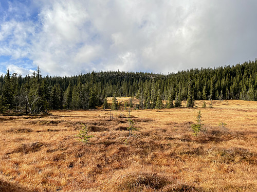 Fra myrene øst for Vesle Skjellingshovde (860 m). Toppen ses i bakgrunnen.