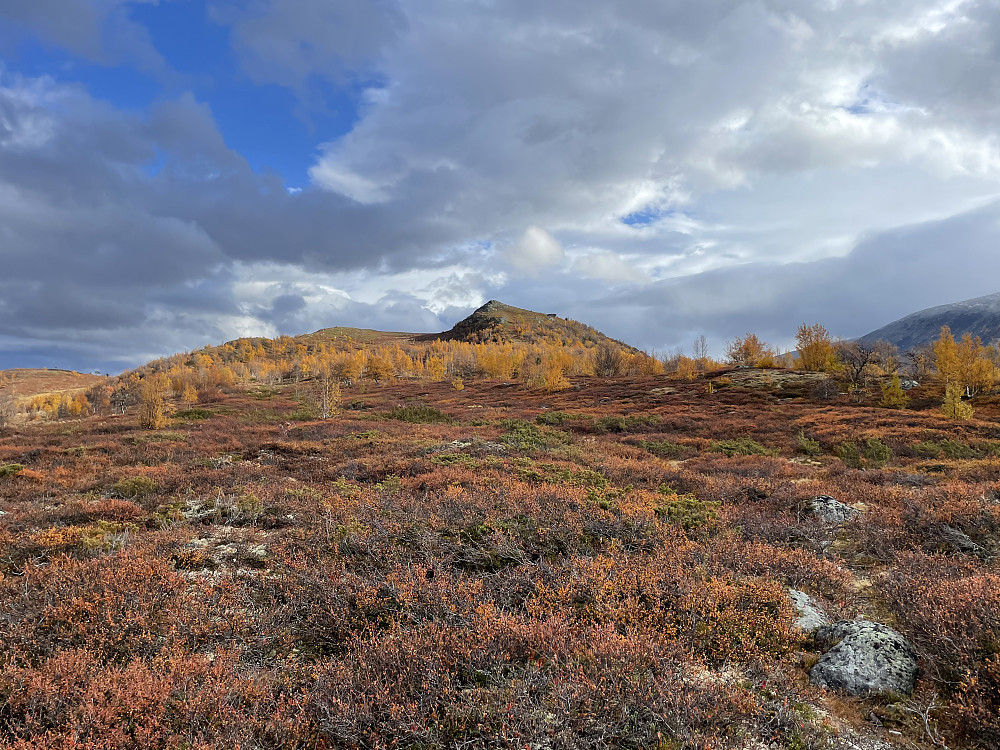 Høghaugen (1151 m).