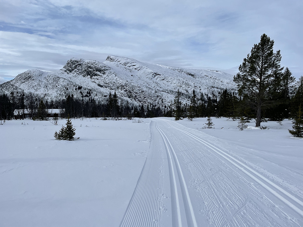Fra skiløypen ved Bergshamaren. Fjellet med samme navn i bakgrunnen, Bergshammaren (1263 m).