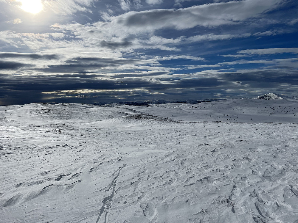 Åpent fjellterreng på Tollevsrudfjellet.