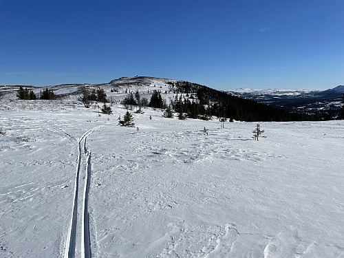 Skispor fører vei til Darren (1102 m), som ses i bakgrunnen.