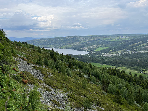 Fra stien ovenfor Solbråsætra mot Gålå og Gålåvatnet (778 m).
