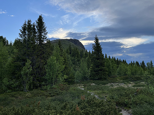 Feforkampen (1160 m).
