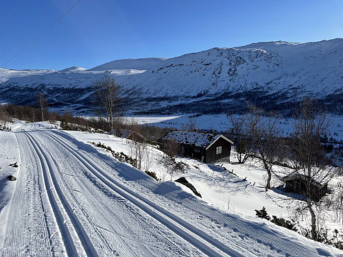 Krysset denne skiløypen ved Viljegreinstølen.