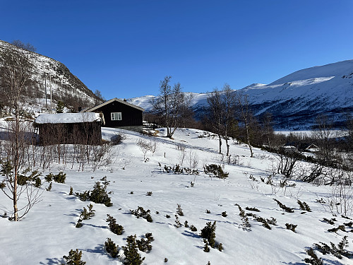 Viljegreinstølen.