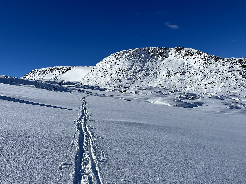 Opp Steindalen.