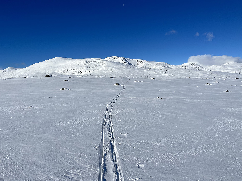 Sesongens første dag med skiføre på Valdresflya (1389 m).