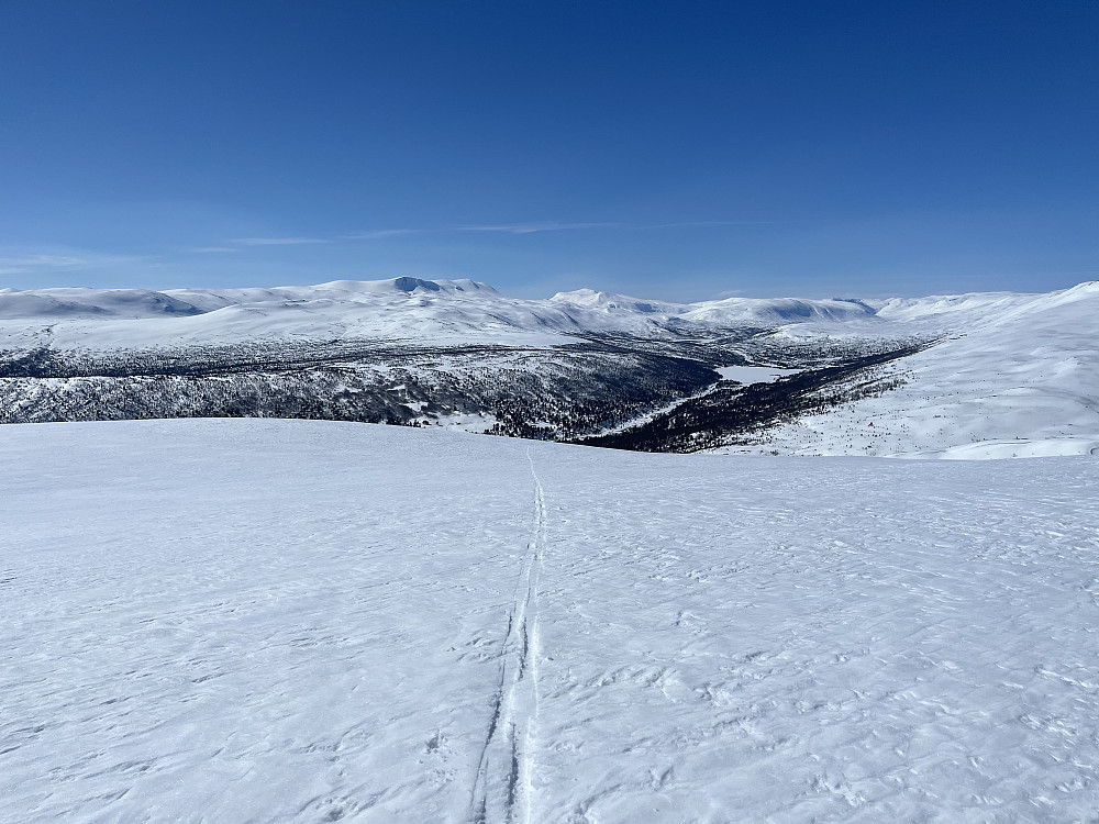 På vei opp fra Billingen. Skridulaupen (1962 m) i bakgrunnen.