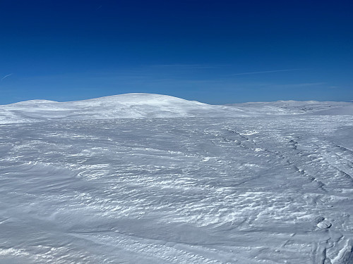 Fra Stamåhjulet (1821 m) med utsikt mot Skarvedalseggen (1961 m) i øst.