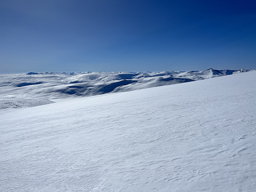 I den sydvendte fjellside like nedenfor Benkehøa (1943 m). Utsikt mot sydvest.