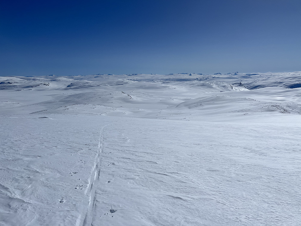 En flott slak nedkjøring fra Benkehøa (1943 m). Utsikt mot syd, en lang retur tilbake til Billingen.