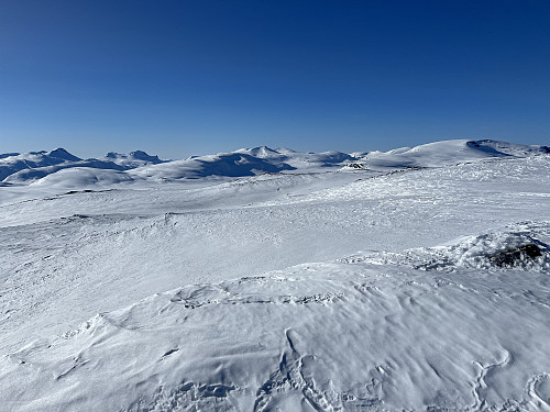 Fra Høggøymen (1747 m) med utsikt mot nordvest. Fra venstre Tordsnose (1975 m), Naushornet (1895 m), Karitinden (1982 m) og Benkehøa (1943 m).