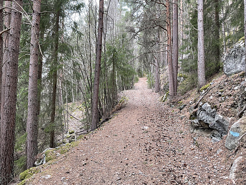 Bred vei til Lisbetnøbbi (650 m).