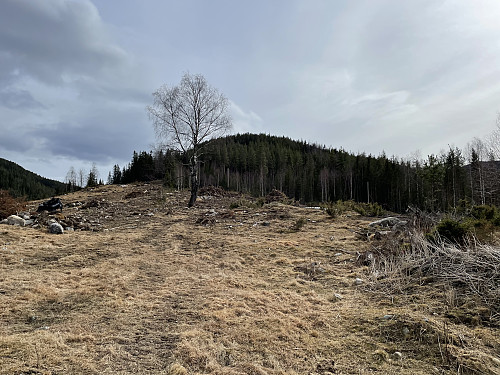 Benterudnatten (479 m).