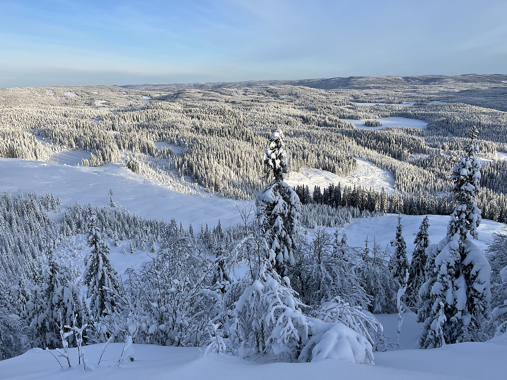 Kikut (614 m). Utsikt mot nord.