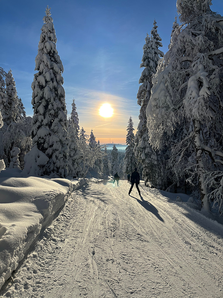 På returen på vei ned fra Appelsinhaugen i retning Kobberhaughytta. Tryvannshøgda (530 m) i bakgrunnen.