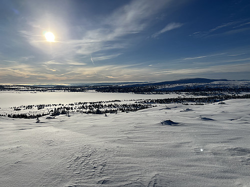 Reinsfjellet (1064 m). Utsikt mot syd.