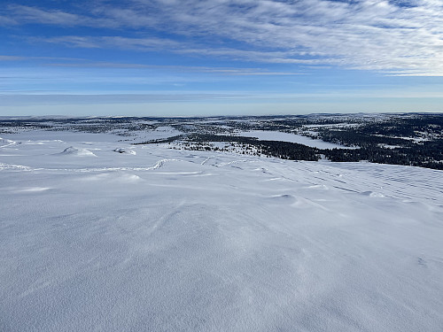 Nevelfjell (1090 m). Utsikt mot Sjusjøen i sydøst.