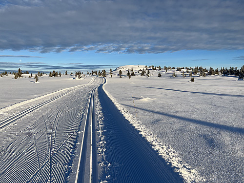 Fra skiløypen mot Storhaugen (1033 m) i bakgrunnen.