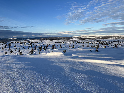 Fra Storhaugen (1033 m) mot nord.