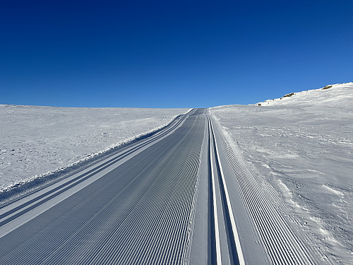 Nyoppkjørte skiløyper.