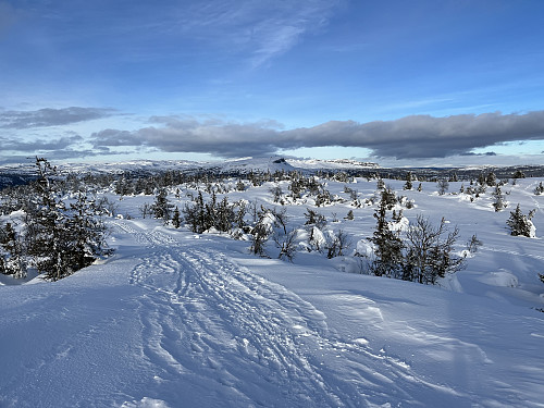 Fra Bjørga (956 m) mot Skeikampen i nord.