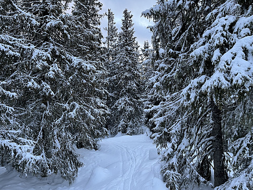 Kinnkjølen (848 m).